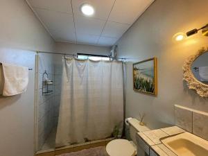 a bathroom with a shower and a toilet and a sink at Casa Buda 2 Liberia cerca del aeropuerto in Liberia