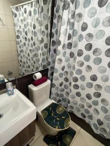 a bathroom with a sink and a toilet and a shower curtain at Apartamento en Metro Ñuble in Santiago