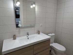 a bathroom with a sink and a toilet and a mirror at Gîte familial en Sologne près de la Loire, parfait pour cyclistes et accueil chevaux, tout compris - FR-1-590-414 in Sigloy +8 photos