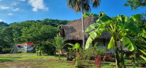 uma casa com telhado de palha e telhado de palha em Hostal Zirumake Dentro del Parque Tayrona em El Zaino