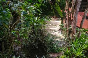 a garden with trees and plants and a sidewalk at Casa em penedo com cachoeira in Penedo