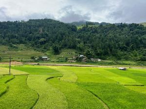 a green field with a mountain in the background at Homestay Hoa Thao in Mù Cang Chải