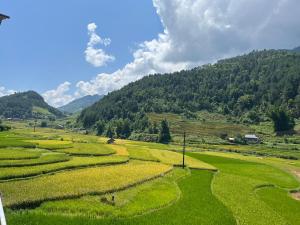 a large green field with mountains in the background at Homestay Hoa Thao in Mù Cang Chải