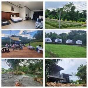 a collage of photos of a house and a yard at Riverhill khaoyai Camping in Pong Talong
