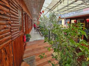 Fotografie z fotogalerie ubytování Dang Khoa Garden Inn Homestay v destinaci Sa Pa