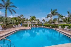 a swimming pool with chairs and palm trees at West Bay Cove 218 condo in Holmes Beach