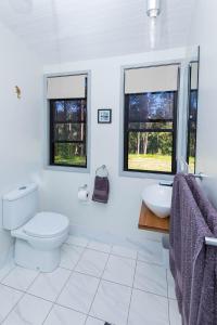 a bathroom with a toilet and a sink and two windows at Nambucca Valley Train Carriages in Nambucca