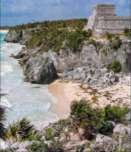 a beach with some plants and rocks and the ocean at Departamento AJAL TULUM in Tulum