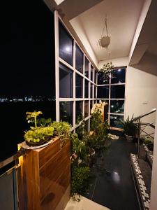 Anandmay Homestay, ISBT Rishikesh في ريشيكيش: شرفة بها نباتات ونافذة في الليل