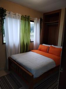 Cama en habitación con ventana y almohada naranja en Campestre House en Alto Boquete