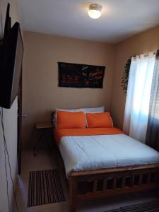 1 dormitorio con 1 cama con almohadas de color naranja y TV en Campestre House en Alto Boquete