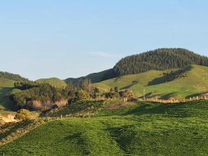 a green hillside with trees on top of it at A stunning retreat in Rotorua! in Rotorua