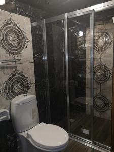 a bathroom with a toilet and a shower at Demeter Rose Stonehouse Pansion in Antalya