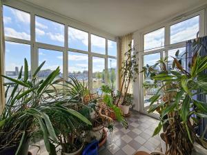 a room filled with lots of plants and windows at Helle Wohnung mit sonnigem Ausblick, in zentraler Lage 135 qm, 4 Zimmer Wohnung in Oldenburg