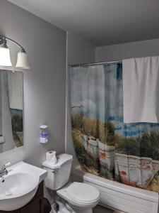 uma casa de banho com um WC, um lavatório e uma cortina de chuveiro em Bi-Level Suite in Saskatoon em Saskatoon