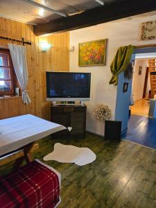 een woonkamer met een flatscreen-tv en een tafel bij Holiday Home U Ryšavých in Busin