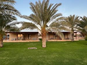 a house with two palm trees in a yard at Lake Grappa Guestfarm in Augrabies