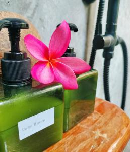 Fotografie z fotogalerie ubytování Pencave Homestay v destinaci Pang Mapha