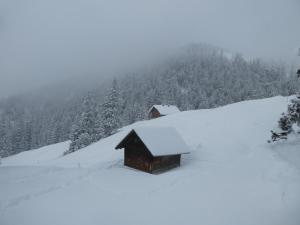 Ferienwohnungen Walserhof Malbun talvel