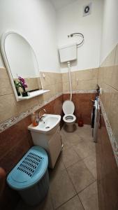 a bathroom with a sink and a toilet and a mirror at Apartment Capt Seferovic in Donji Morinj +40 photos