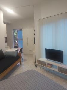 TV a/nebo společenská místnost v ubytování Apartmani Sladojević