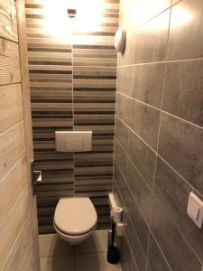 a bathroom with a toilet and a tile wall at Chalet Flocon 14p Les 2 alpes in Les Deux Alpes