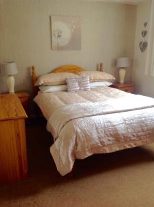 a bedroom with a large bed with pillows and two lamps at Pant Glas in Cardigan