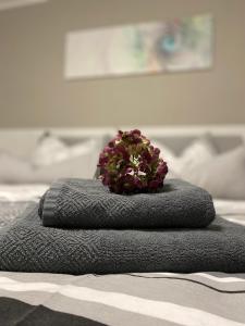Hochkirch的住宿－Hempis Ferienwohnungen，坐在床上的一堆毛巾上面的植物