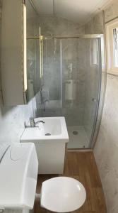 een badkamer met een wastafel, een toilet en een douche bij Chalet De Miranda in Midsland