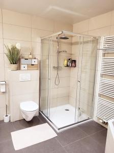 a bathroom with a shower and a toilet at B&B Hoefkamp in Dilsen-Stokkem