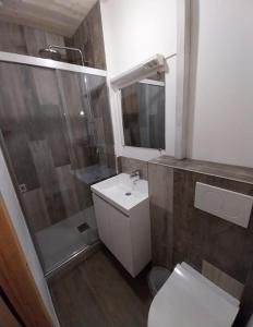 uma casa de banho com um WC, um lavatório e um chuveiro em Gîte La Grange em Chooz