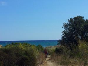Φωτογραφία από το άλμπουμ του Appartement T3 avec terrasse en bord de mer σε Canale-di-Verde