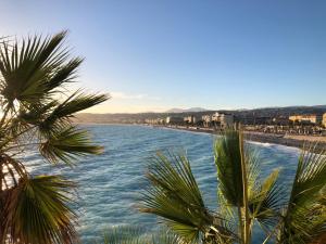 a view of a body of water with palm trees at Charmante chambre privée 5/10 mn du CentreVille/Port-Jardin/Parking in Nice