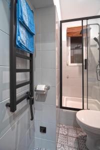 e bagno con doccia, servizi igienici e lavandino. di Czar Prowansji - Comfy & Quiet near Rynek&Train Station a Cracovia