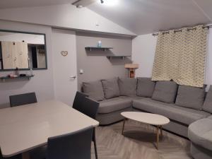 维亚斯superbe mobil home 6/8 pers,clim, sans vis a vis dans camping 4* espace aquatique的带沙发和桌子的客厅