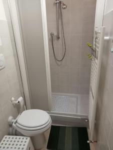 a small bathroom with a toilet and a shower at Terratetto 90 mtq 10 posti letto in SantʼAnna Pelago