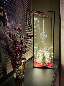 a window with a christmas tree in a mirror at La Chambre des Trois Églises in Riquewihr