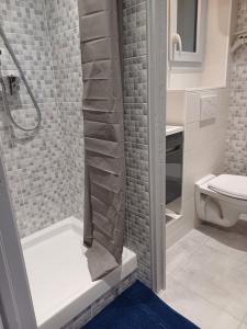 a bathroom with a shower and a toilet at Appartement double in Mende