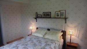 1 dormitorio con 1 cama con 2 lámparas y cuadros en la pared en Bårdstua en Stokmarknes
