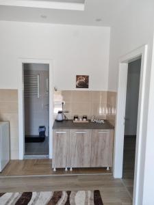 eine Küche mit weißen Wänden und einer Arbeitsplatte in der Unterkunft Tc Lux in Nemenikuće