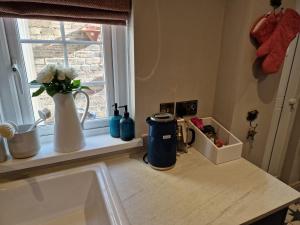 a kitchen counter with a vase of flowers and a window at Coral Cottage Amble in Amble