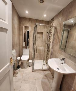 a bathroom with a shower and a sink and a toilet at Polkerris Way 1 in Fleet