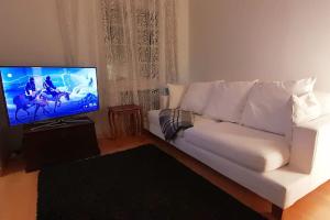 sala de estar con sofá blanco y TV de pantalla plana en Urheilukatu20 Olympiastadion Ooppera, 4 makuupaikkaa, en Helsinki