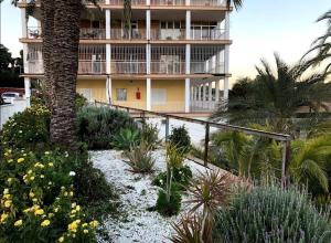 un edificio resort con una palmera y plantas en Miniloft en la playa, en Alicante