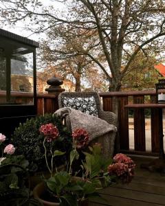 Park Hotel في فريكشهاون: كرسي يجلس على سطح مع الزهور عليه