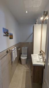 y baño con aseo blanco y lavamanos. en Apartamento Jerez Centro, en Jerez de la Frontera