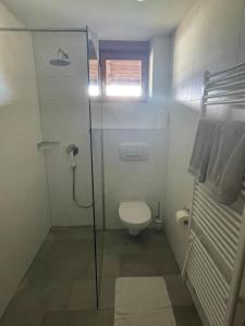 a small bathroom with a toilet and a shower at Landhaus Peer in Innsbruck