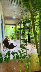 a patio with a chair and a plant at Kataragama Homestay in Kataragama