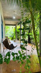 Zahrada ubytování Kataragama Homestay