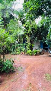 Zahrada ubytování Kataragama Homestay